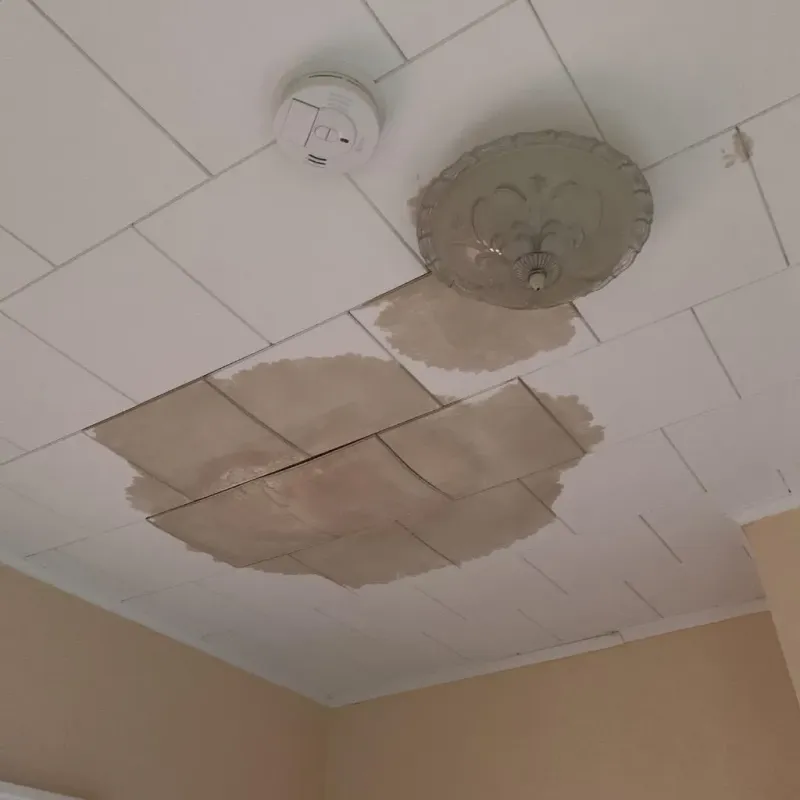 Ceiling Water Damage Repair in Mantua, OH