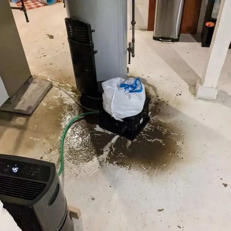 Sewage Backup Cleanup Service in Mantua, OH